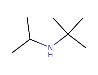 N-isopropyl-N-tert-butylamine